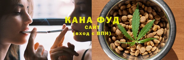 ECSTASY Строитель