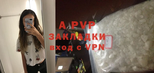 ECSTASY Строитель