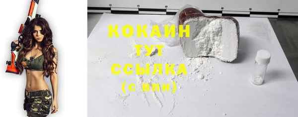 ECSTASY Строитель