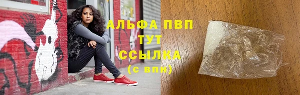 ECSTASY Строитель