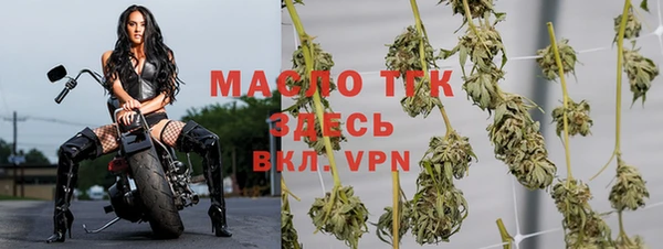 ECSTASY Строитель
