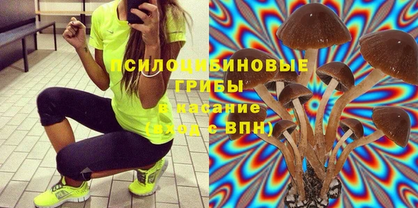 ECSTASY Строитель