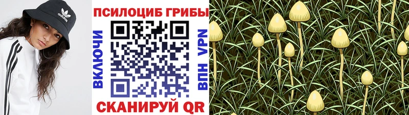 дарнет шоп  Белово  Галлюциногенные грибы Magic Shrooms 