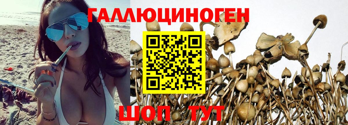 Галлюциногенные грибы ЛСД Белово
