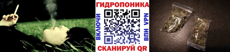 kraken как зайти  Белово  Марихуана VHQ 